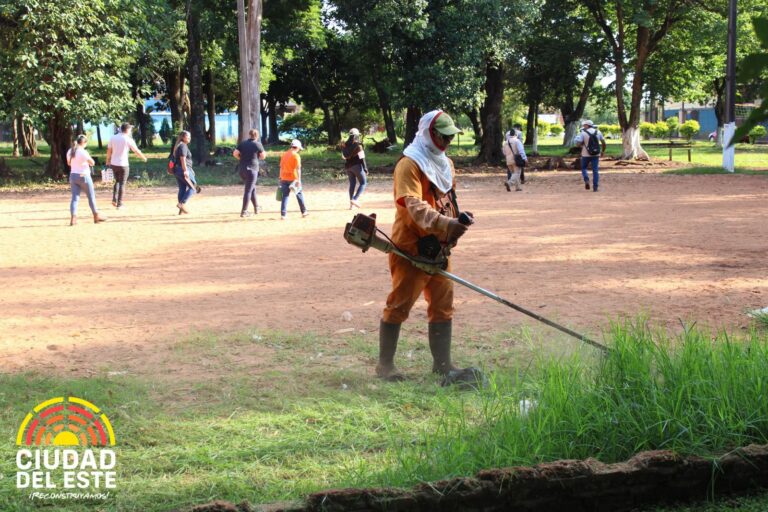 Instan eliminar criaderos de mosquitos