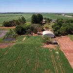 Imputados por reducción de soja robada