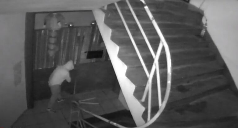 Roban dinero y armas de restaurante  oriental