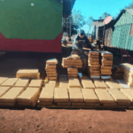 Procesan a un hombre por tendencia de 1.500 K. de marihuana