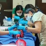 Imputan a un hombre por tráfico de guacamayos