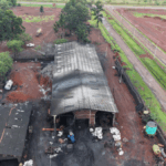 Procesan a dos personas por delitos ambientales